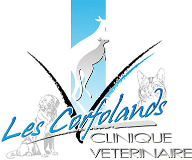 Logo Clinique Vétérinaire Les Corfolands